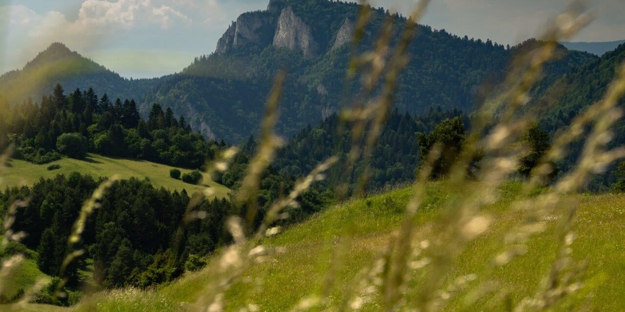 Widok na Trzy Korony
