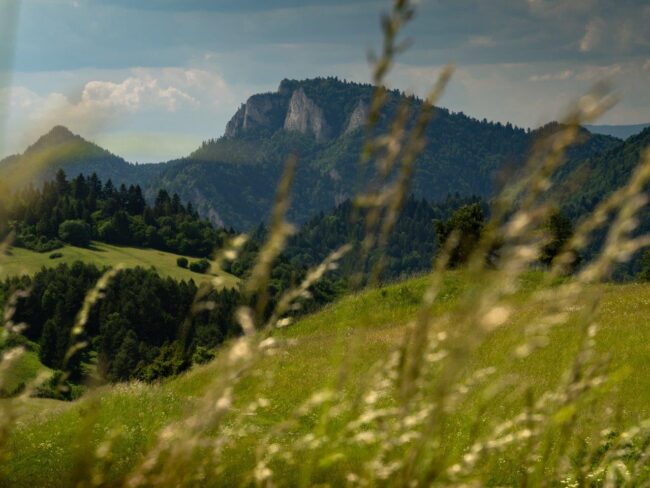 Widok na Trzy Korony