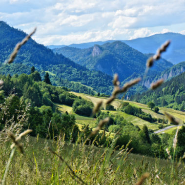 Widok na dolinę Leśnickiego Potoku i Sokolicę