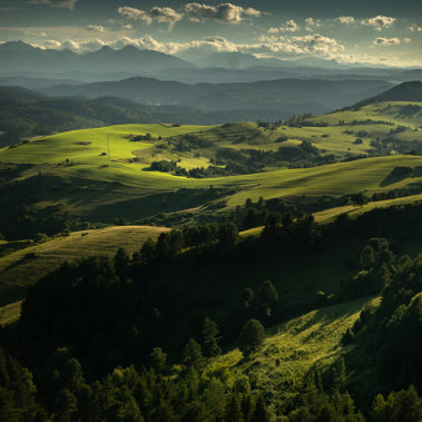 Widok z Wysokiego Wierchu w Pieninach