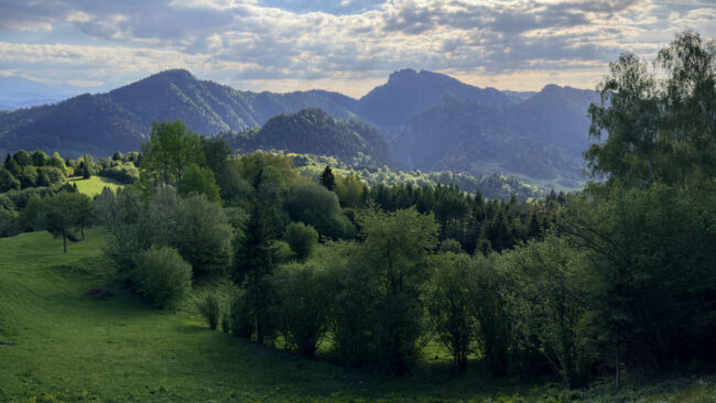 widok z palenicy palenica szczawnica