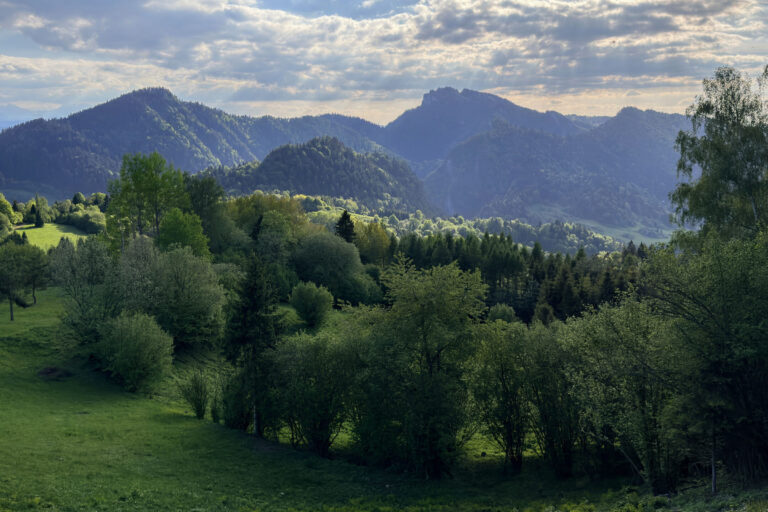 widok z palenicy palenica szczawnica